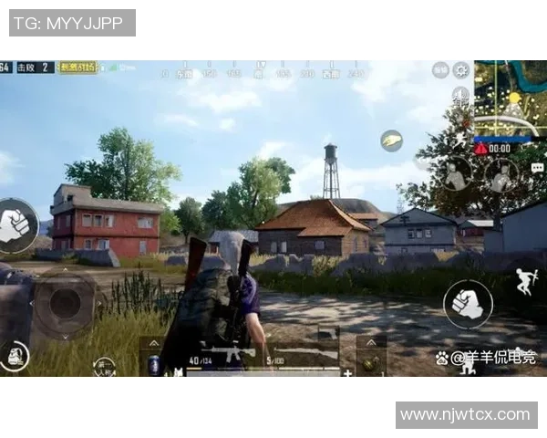 和平精英战术分析：深入探讨JDG战队的进攻策略与执行技巧