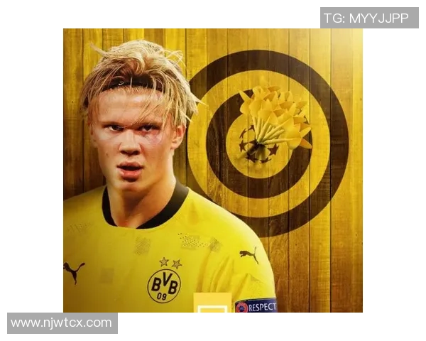 哈兰德:从天才少年到足球巨星的蜕变之路与未来展望 哈兰德:从天才少年到足球巨星的蜕变之路与未来展望